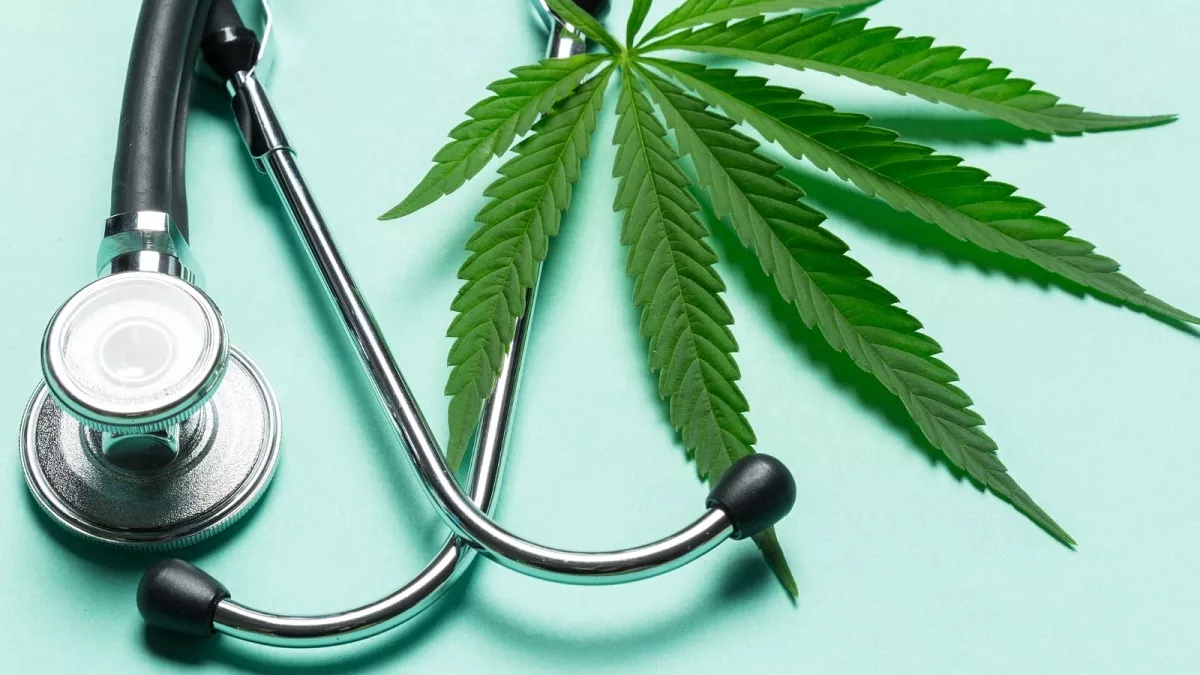 Die Rolle von Cannabis-Ärzten: Erforschung der medizinischen Marihuana-Praxis