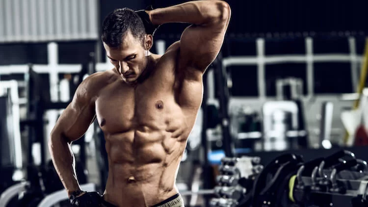 Halo Steroid for men: Safety, Dosage, and Effects Explained